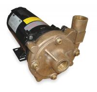 2ZXA2 Centrifugal Pump, 1 HP, 3 Ph, 208-230/460V