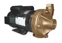 2ZXA5 Centrifugal Pump, 2 HP, 1 Ph, 115/230V