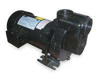2ZXP2 Centrifugal Pump, 3/4hp, 3 Ph, 208-230/460V