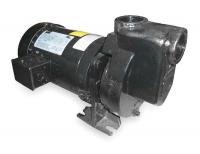 2ZXP8 Centrifugal Pump, 2 HP, 3 Ph, 208-230/460V