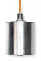 2ZY41 Lqd Lvl Swch, 1/4 In NPT, Slctabl, 316 SS
