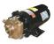 2ZWR8 - Centrifugal Pump, 3/4 HP, 3 Ph, 208-230/460 Подробнее...