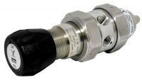 30E762 Pressure Regulator, 1/4 In, 0 to 10 psi