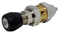 30E771 Pressure Regulator, 1/4 In, 1 to 30 psi