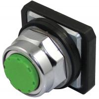 30G339 Pushbutton, 30mm, Momentary, GR