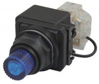 30G428 PilotLight, LED, 120VAC/DC, 30mm, Plastic, BL