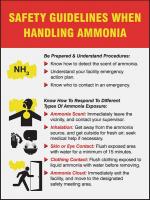 31A040 Poster, Safety Guidelines, 18 x 24 In.