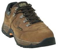 31A525 Hiking Shoes, Steel Toe, MetGrd, 9-1/2W, PR