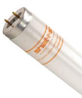 33H566 Fluorescent Lamp, T12, Neutral, 3500K