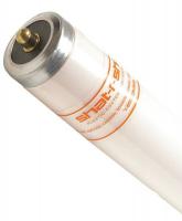 33H568 Fluorescent Lamp, T12, Neutral, 3500K