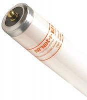 33H569 Fluorescent Linear Lamp, T12, Cool, 4100K