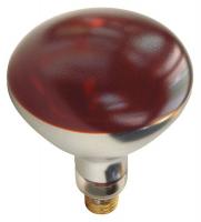 33H576 Heat Lamp, R40, 250W