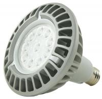33H584 LED Lamp, Shatter Resistant, 1010L, 17W