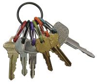35R847 Key Ring, Stainless Steel, Black