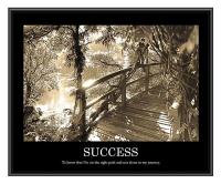 35W668 Motivational Print, Success, Frame, 24 x 30