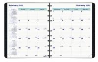 35W881 Month Planner, 17 Months, 9-1/4x7-1/4 In.