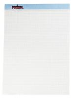 35X032 Perforated Pad, 8-1/2 x 11-3/4 In, Pk 12