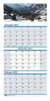 35X243 Wall Calendar, 12-1/4x26-1/2 In