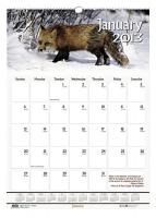 35X255 Monthly Wall Calendar, 12x12 In, Wildlife