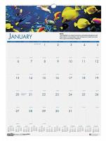 35X262 Monthly Wall Calendar, 12x12 In, Sea Life