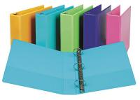 35X902 View Binder, Presentation, 2 In, Pk 2