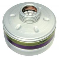 36F019 Canister, P100/Gas Filter