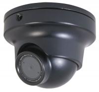 36K088 Dome Camera, Intense Light, Black