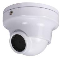 36K089 Dome Camera, Intense Light, White