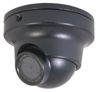 36K090 Dome Camera, Intense Light, Black