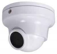 36K091 Dome Camera, Intense Light, White