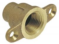 36N490 Special Drop Adapter, 3/4 In, C x FNPT