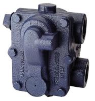 36Y277 Steam Trap, Float and Thermo, 1 In
