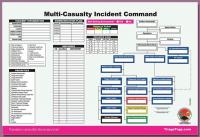 38E609 Multi-Casualty ICS Worksheet, 25PK