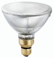 38G529 Lamp, Halogen, 60W, PAR38, WideFlood, 120V