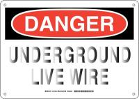 38K541 DANGER SIGN 10X14