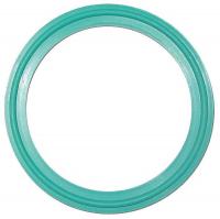 38R084 Antimicrobial Gasket, 2 In, Silicone