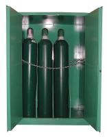 38V841 Gas Storage Cabinet, 9 - 12 H Cyl