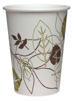 38V868 Paper Cold Cup, Pathway, 12oz, PK2400