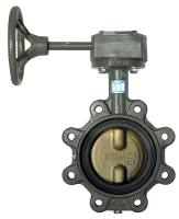 39A306 Butterfly Valve, Lug, 10 In., Ductile Iron
