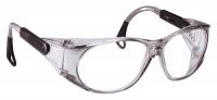 39L686 Safety Glasses, Clear, Antifog