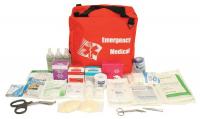 39P246 Kit, First Aid, Small