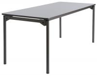 39T733 Folding Table, 30x72, Gray