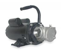 3ACC8 Pump, SS, 1 1/2 HP, 115/230V, 18.6/9.3 Amps