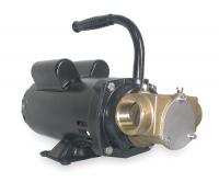 3ACD4 Pump, Flexible Impeller, 1 1/2 HP, 115/230V
