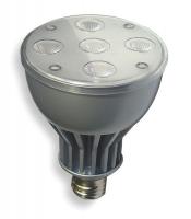 3CRA2 LED Floodlight, PAR30, 2900K, Warm