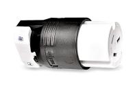 3D259 Connector, 10-50 NEMA