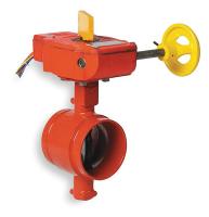 3DVY2 Butterfly Valve, Grooved, 6 In, Iron