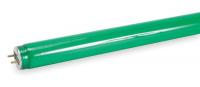 3DXL3 Fluorescent Linear Lamp, T8, Green