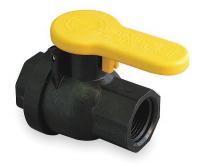 3ELV6 Polypropylene Ball Valve, FNPT, 3/4 In