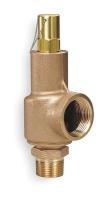 3ERY6 Safety Relief Valve, 1 x 1-1/4 In, 175 psi